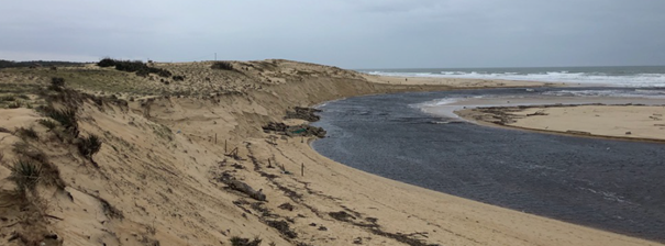 erosion de dunes